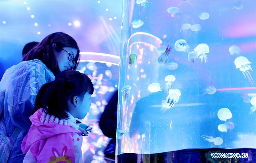 CHINA-SHANGHAI-OCEAN PARK-OPENING (CN)