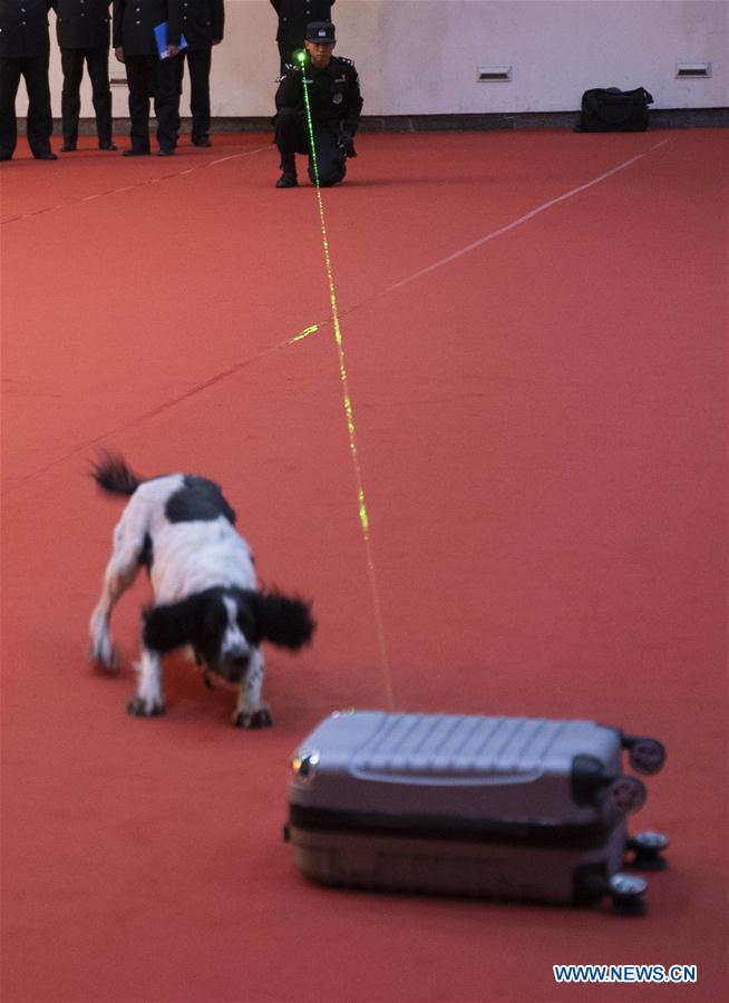 CHINA-BEIJING-POLICE DOG-SKILL COMPETITION (CN)