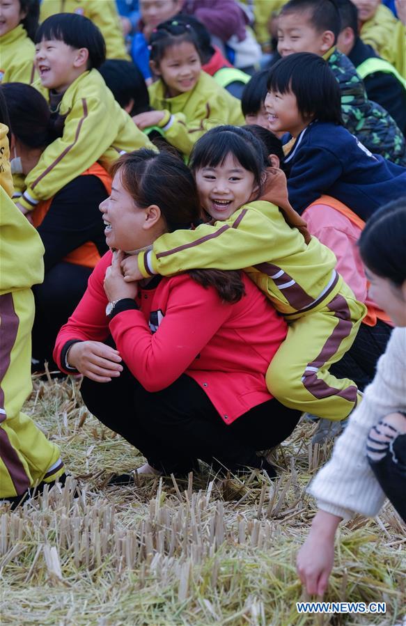 CHINA-ZHEJIANG-CHANGXING-RICE FIELD-RECREATION (CN)