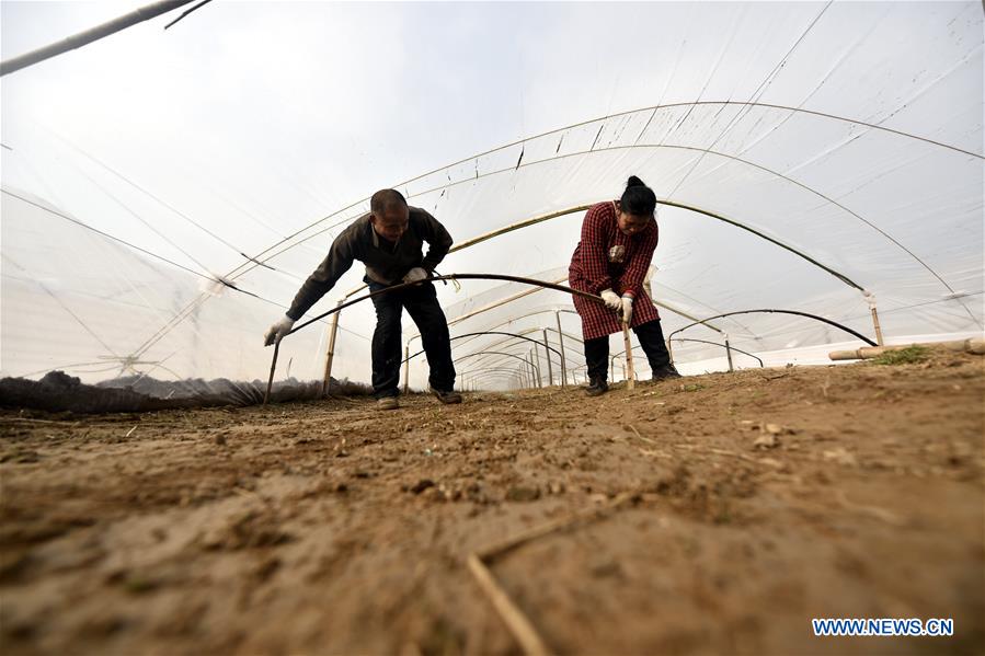 #CHINA-WINTER-ARGRICULTURE-GREENHOUSE (CN)