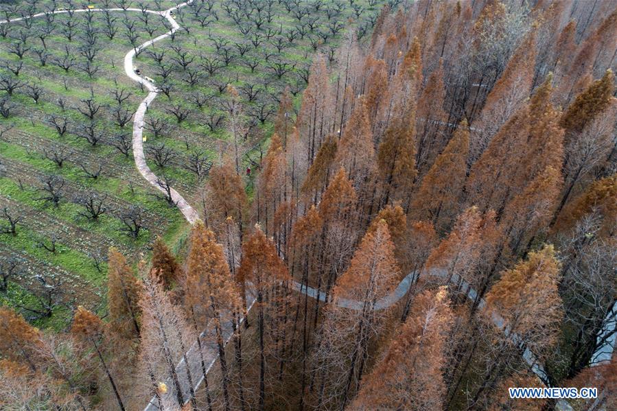 #CHINA-JIANGSU-HUAI'AN-SCENERY (CN)