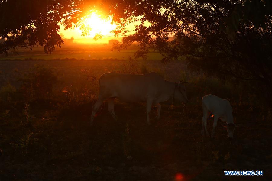 MYANMAR-NAY PYI TAW-SUNSET