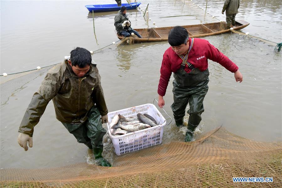 CHINA-JIANGXI-NANCHANG-FISHING (CN)