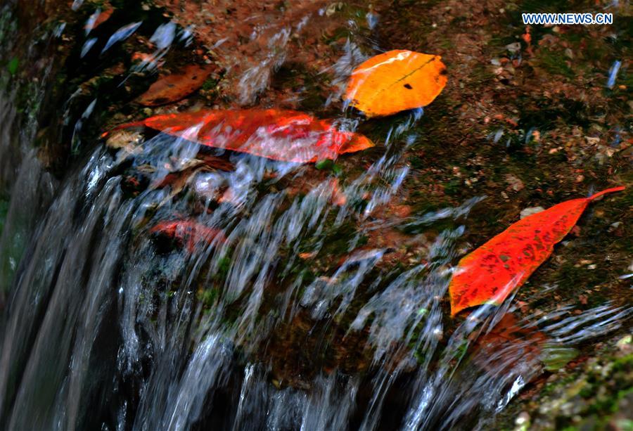 CHINA-FUJIAN-WUYI MOUNTAIN-SCENERY (CN)