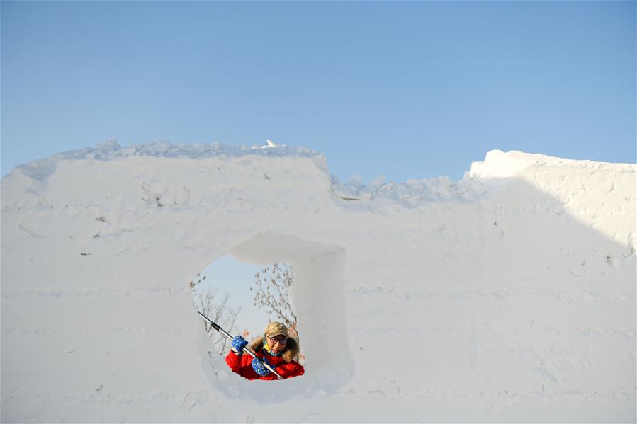 CHINA-HEILONGJIANG-HARBIN-ART ELITE-SNOW SCULPTURE COMPETITION (CN)