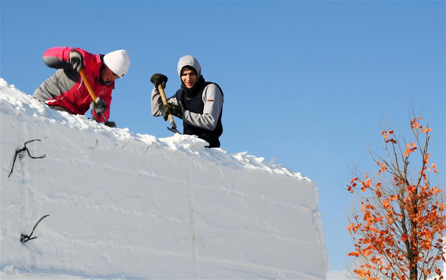 CHINA-HEILONGJIANG-HARBIN-ART ELITE-SNOW SCULPTURE COMPETITION (CN)