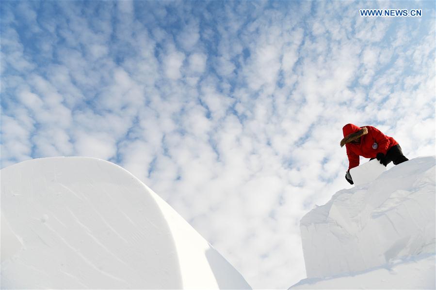 CHINA-HEILONGJIANG-HARBIN-SNOW SCULPTURE COMPETITION (CN)