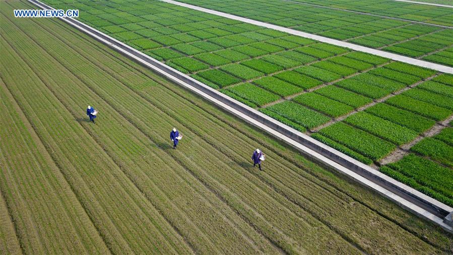 #CHINA-SPRING-AGRICULTURE (CN)