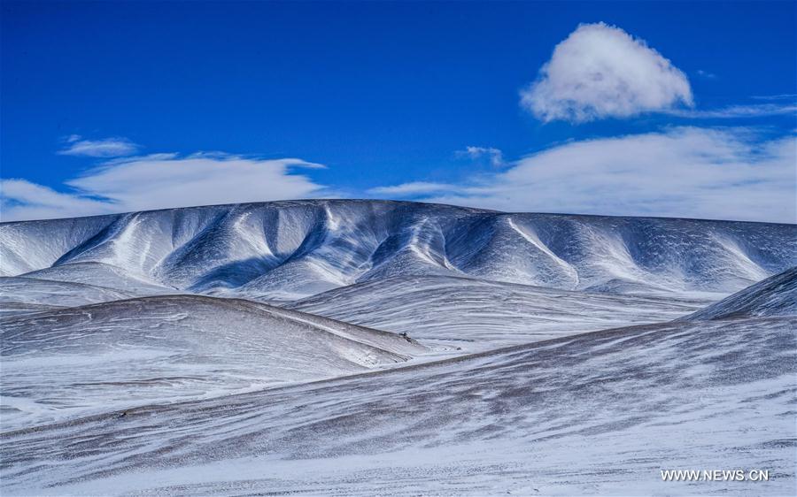 (InTibet)CHINA-TIBET-SHUANGHU (CN)