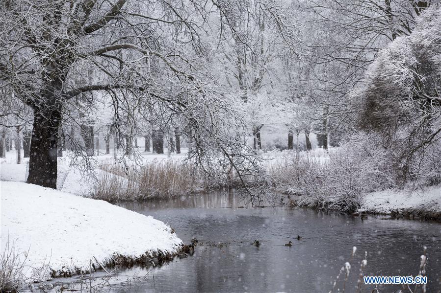 LATVIA-RIGA-WINTER SCENERY