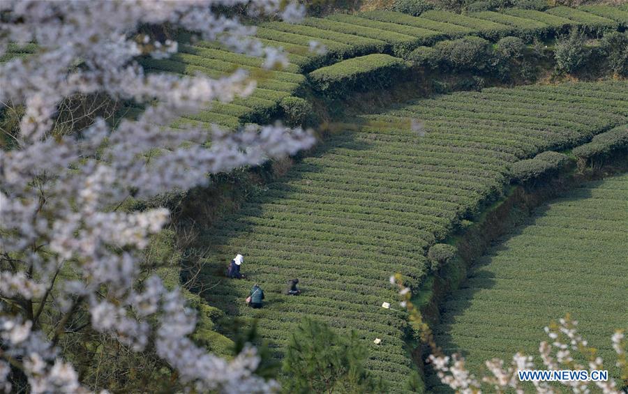 XINHUA PHOTOS OF THE DAY