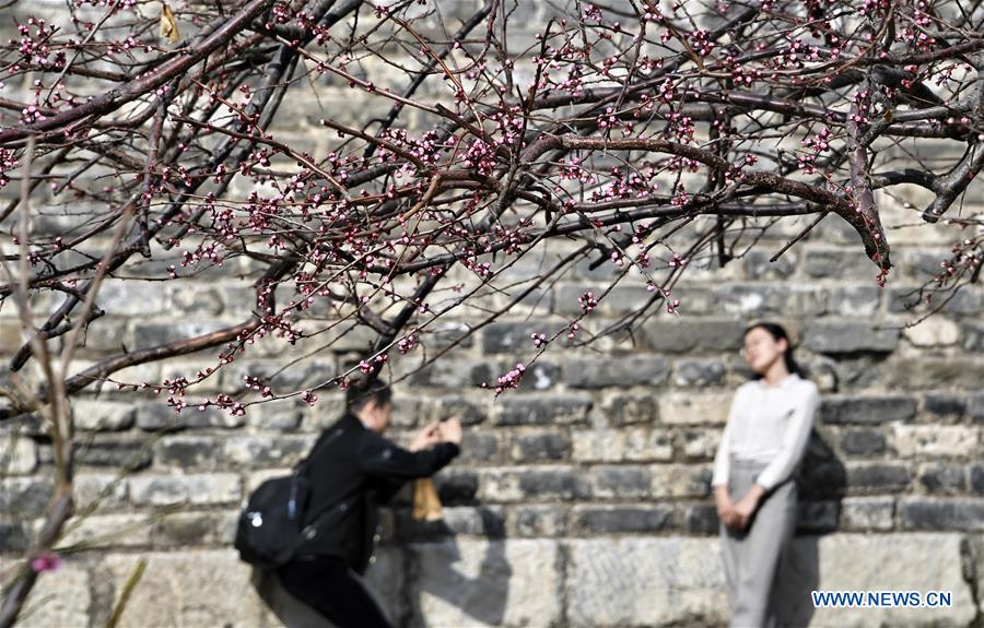 CHINA-BEIJING-SPRING-SCENERY (CN)