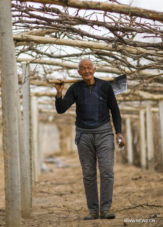 CHINA-CHUNFEN-FARM WORK(CN)