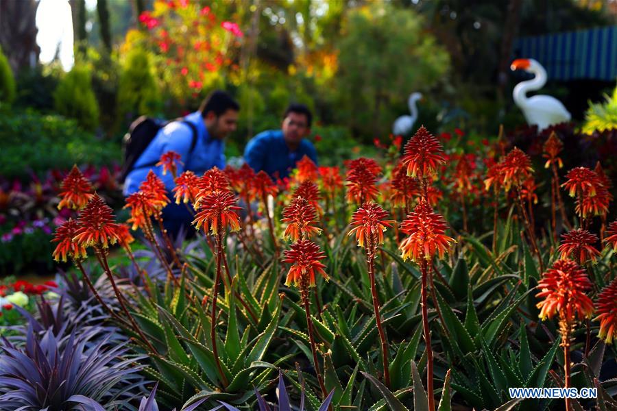 EGYPT-GIZA-FLOWER EXHIBITION