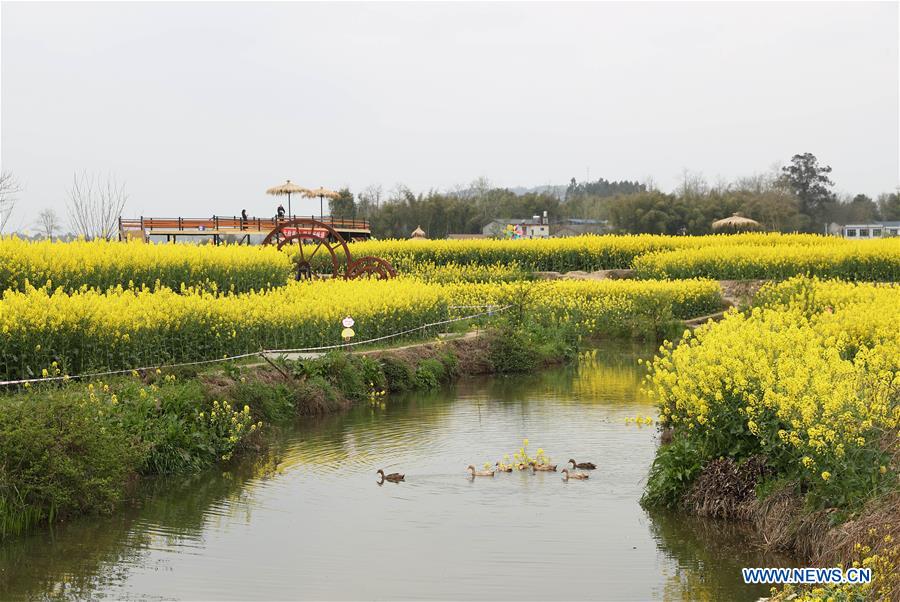 CHINA-SICHUAN-RURAL DEVELOPMENT-FLOWERS-TOURISM (CN)