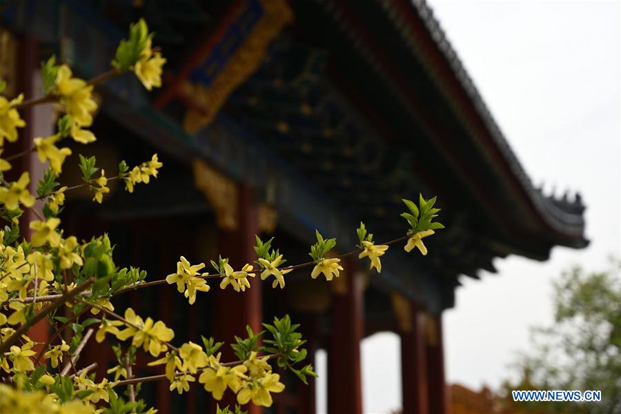 (InPalaceMuseum)CHINA-BEIJING-PALACE MUSEUM-FLOWERS (CN)