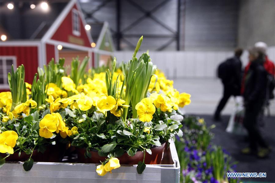 NORWAY-LILLESTROM-OSLO GARDEN SHOW