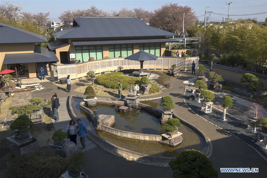 JAPAN-SAITAMA-BONSAI ART MUSEUM