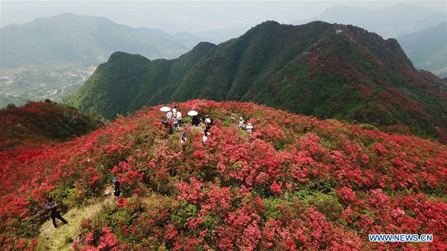 CHINA-GUIZHOU-DANZHAI-SCENERY