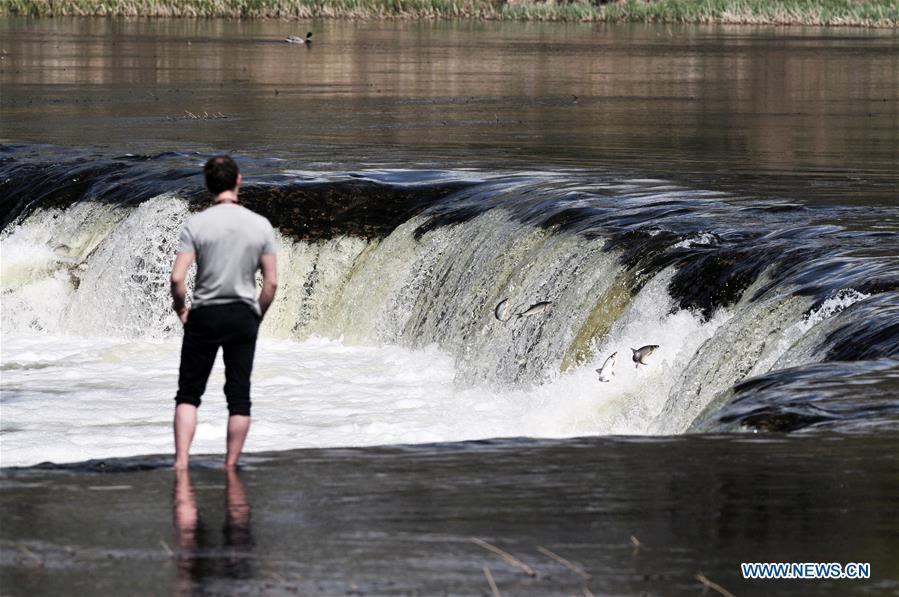 LATVIA-KULDIGA-VENTA RAPID-FLYING FISH