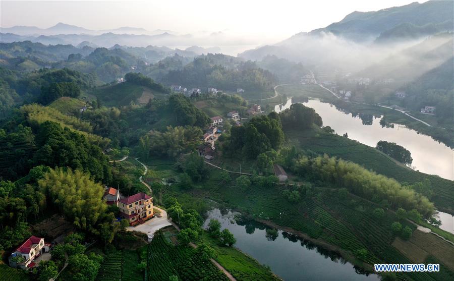 CHINA-ANHUI-LU'AN-TEA GARDEN-SCENERY (CN)