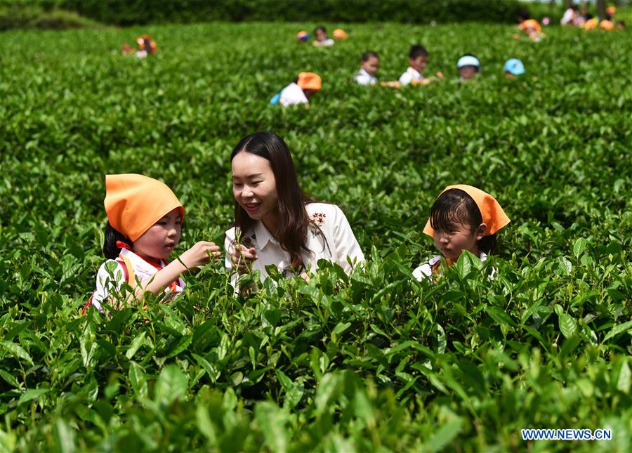 CHINA-CHONGQING-TEA BUSINESS (CN)