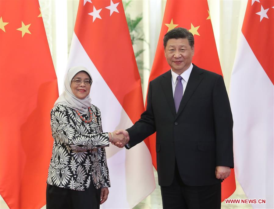 CHINA-BEIJING-XI JINPING-SINGAPOREAN PRESIDENT-MEETING (CN)