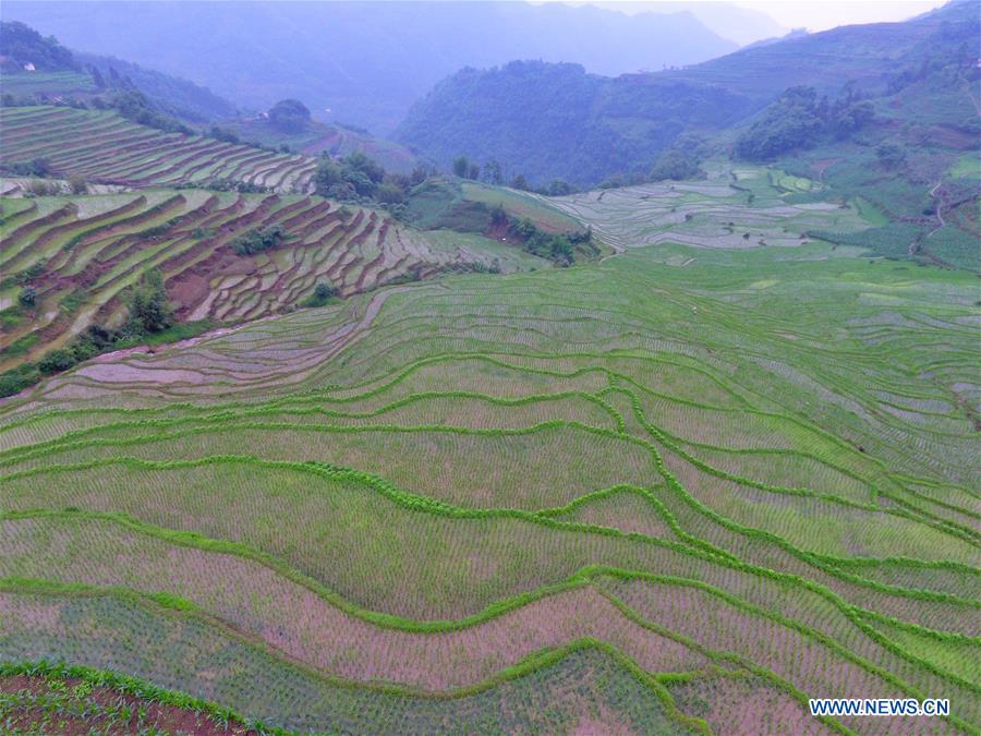 CHINA-SICHUAN-TERRACED LANDS (CN)