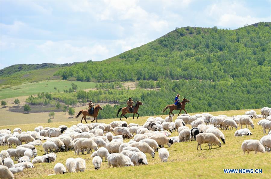 CHINA-INNER MOGOLIA-CHIFENG-AR HORQIN GRASSLAND-LANDSCAPE (CN)