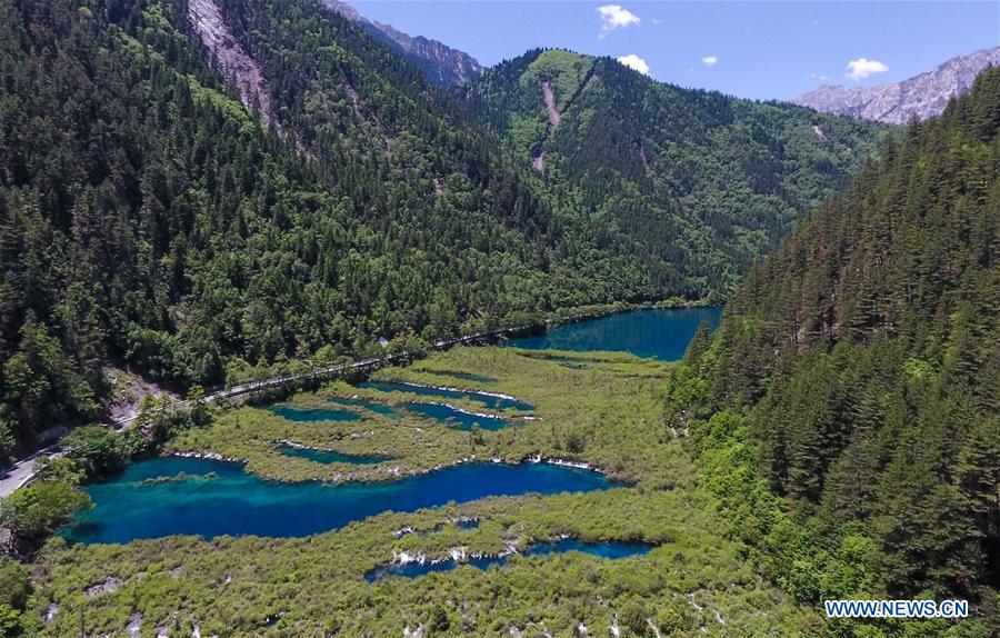 CHINA-SICHUAN-JIUZHAIGOU-SCENERY (CN)