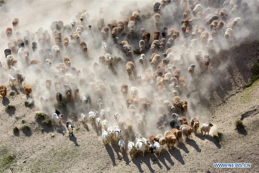 CHINA-XINJIANG-FUHAI-HERDSMEN-SUMMER PASTURE (CN)