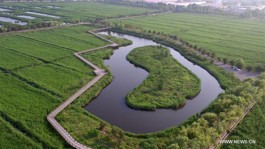 (EcoChina)CHINA-BEIJING-HORTICULTURAL EXPO-SHANDONG (CN)