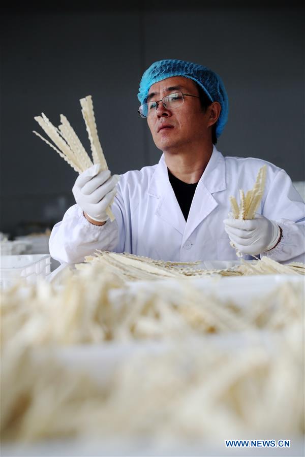 #CHINA-CHONGQING-NOODLES MAKING (CN)