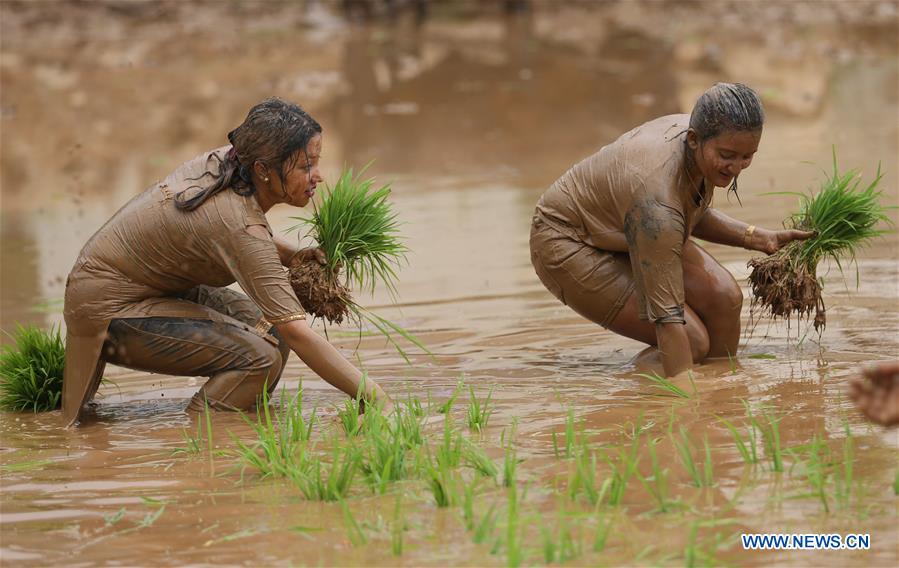 NEPAL-DHADING-NATIONAL PADDY DAY FESTIVAL