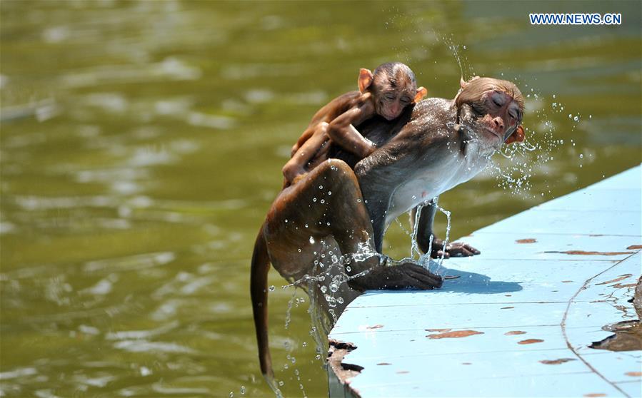 XINHUA PHOTOS OF THE DAY