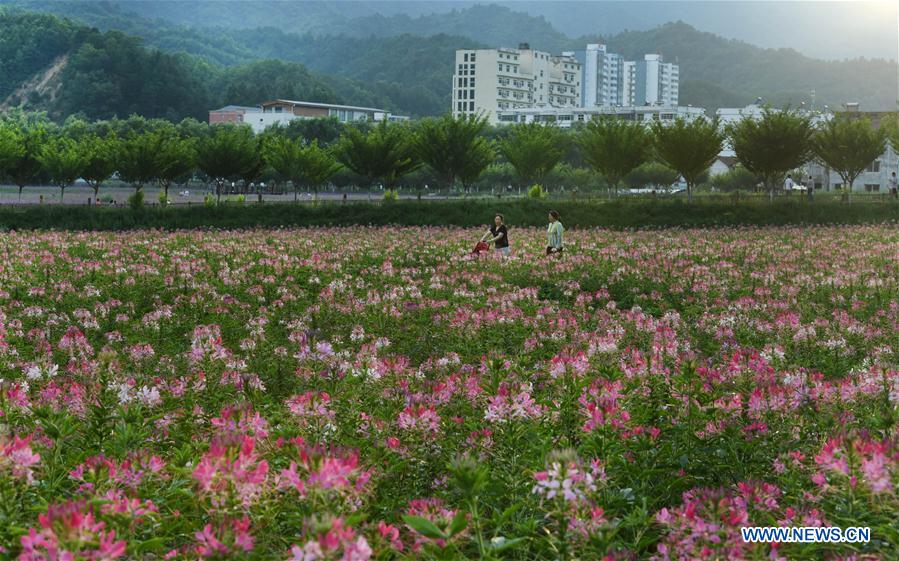 CHINA-SHAANXI-FLOWERS-TOURISM(CN)