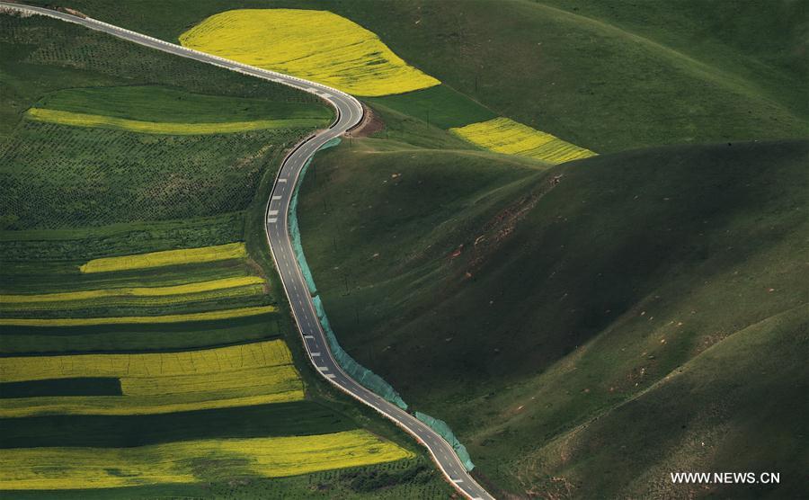 CHINA-QINGHAI-QILIAN-SCENERY (CN)