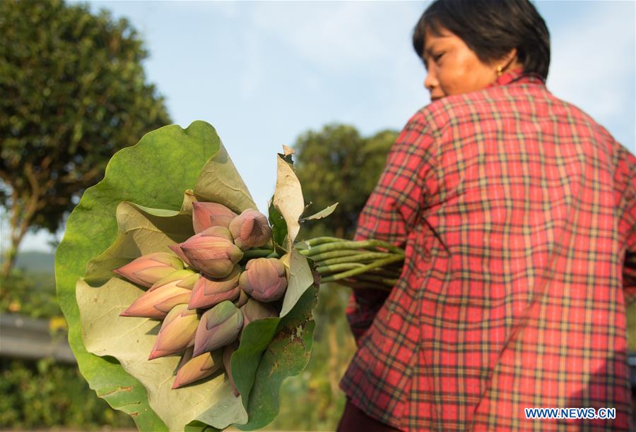 CHINA-ZHEJIANG-JIANDE-LOTUS-ECONOMY (CN)