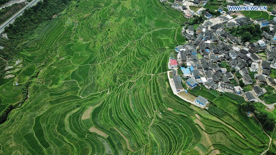 (EcoChina)CHINA-HORTICULTURAL EXPO-GUIZHOU (CN)