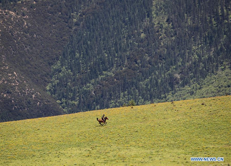 CHINA-SICHUAN-YAJIANG-SUMMER VIEW (CN)