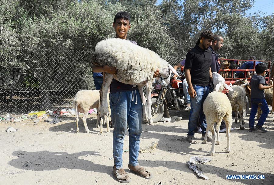 MIDEAST-GAZA-EID AL-ADHA-LIVESTOCK MARKET