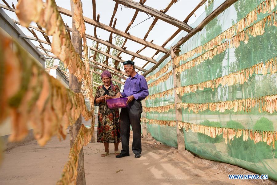 CHINA-XINJIANG-KASHGAR-CANTALOUPE (CN)