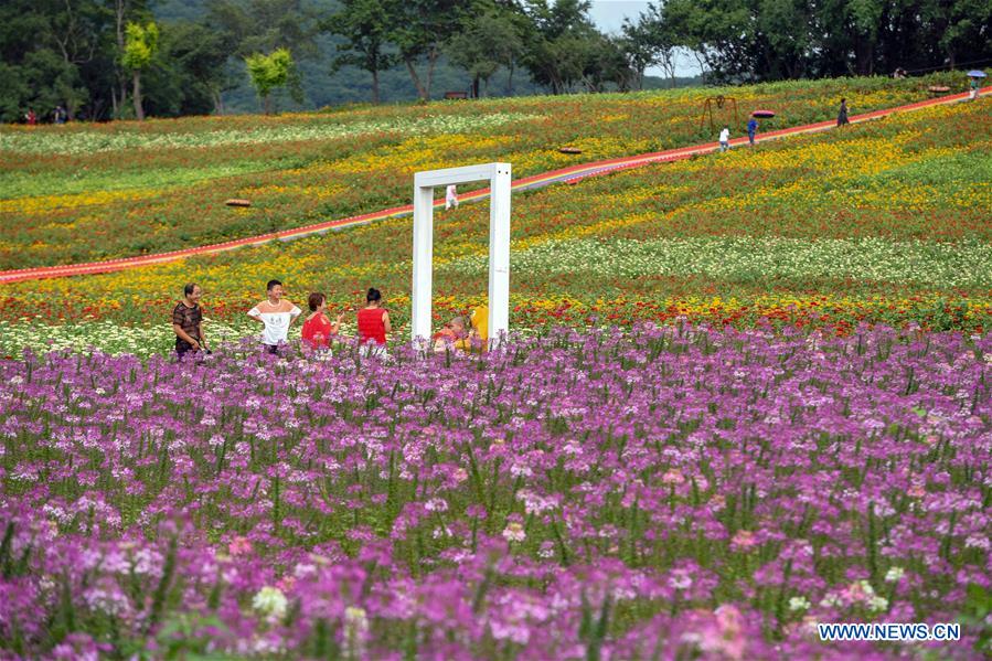 CHINA-JILIN-CHANGCHUN-SCENERY (CN)