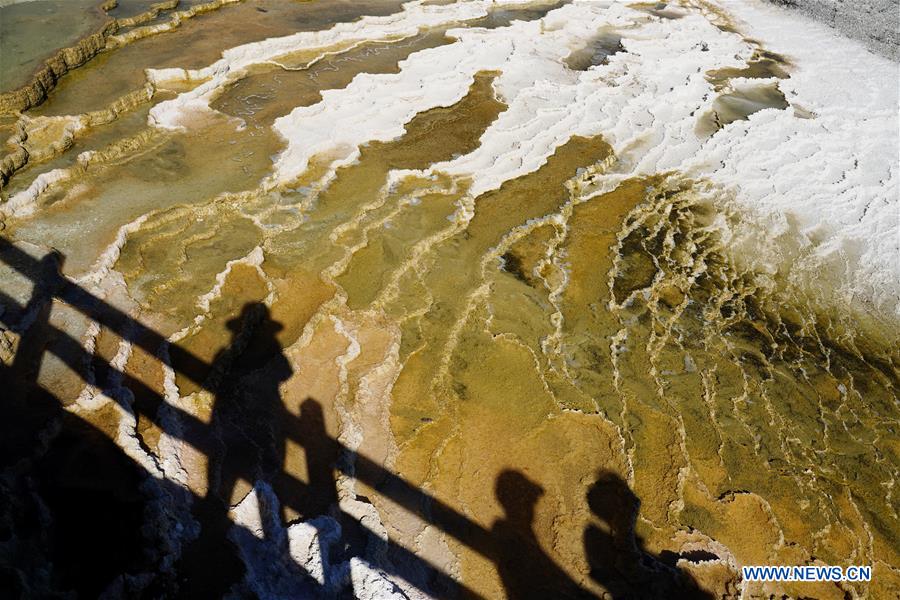 U.S.-YELLOWSTONE NATIONAL PARK-SCENERY