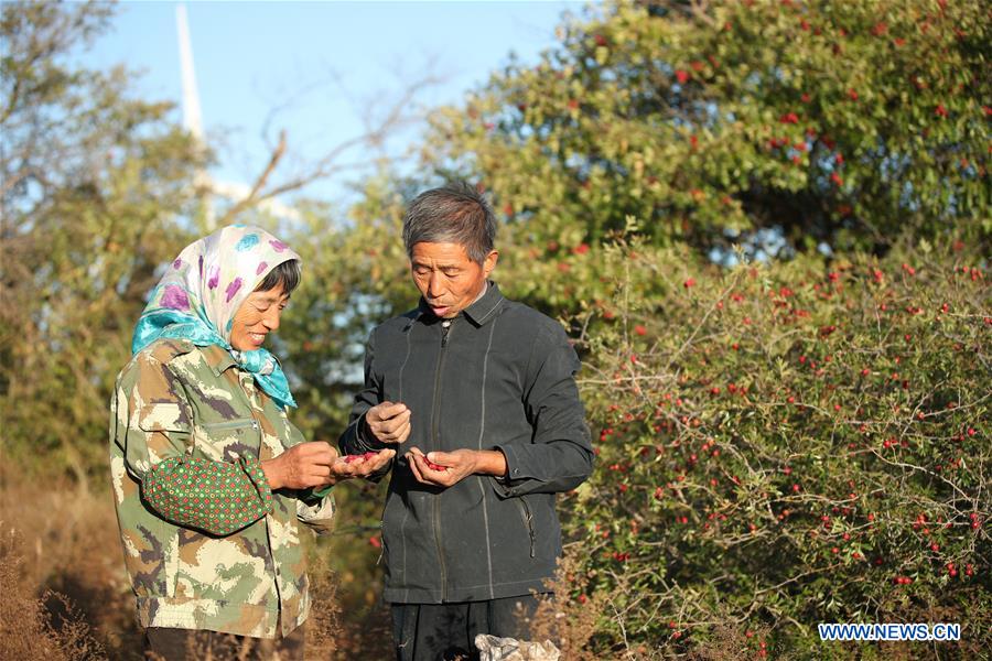 CHINA-LIAONING-FUXIN-FOREST PROTECTION (CN)