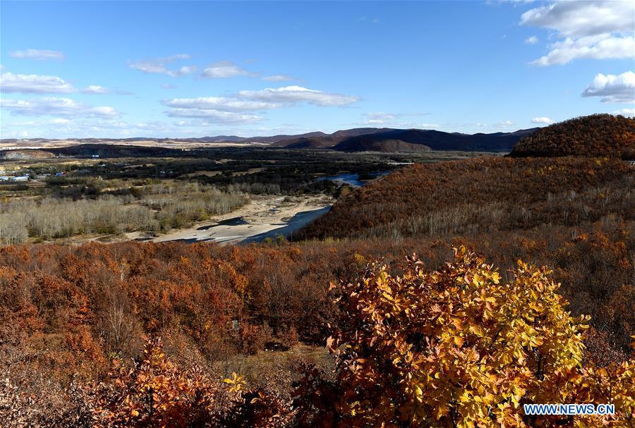 CHINA-INNER MONGOLIA-ZALANTUN-LANDSCAPE (CN)