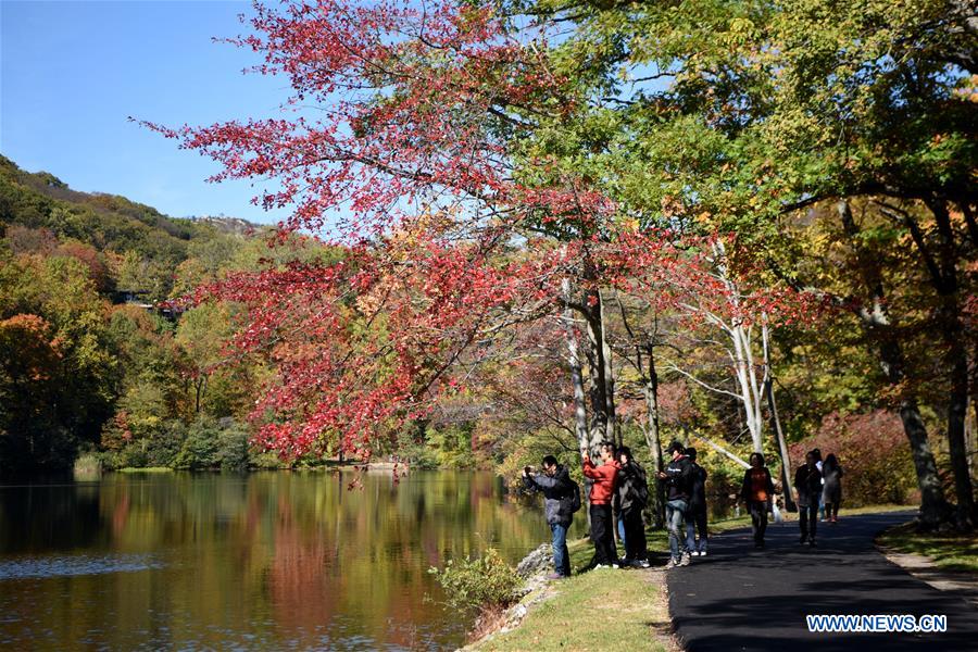 U.S.-NEW YORK-AUTUMN SCENERY