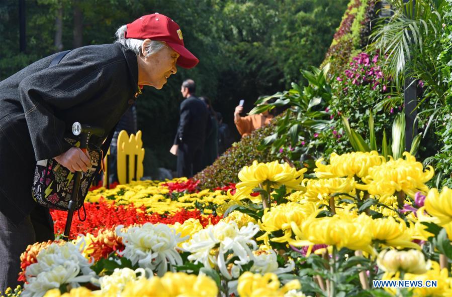 CHINA-SHANDONG-JINAN-CHRYSANTHEMUM EXHIBITION (CN)