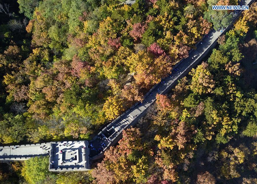 CHINA-BEIJING-GREAT WALL-AUTUMN SCENERY (CN)