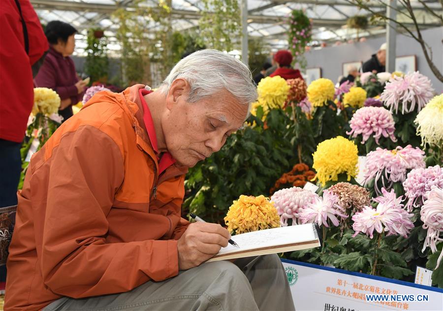 CHINA-BEIJING-CHRYSANTHEMUM-EXHIBITION (CN)